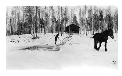 Putting up Ice